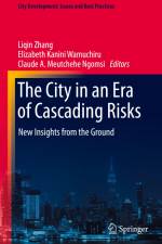 The City in an Era of Cascading Risks af Liqin Zhang