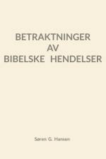 Betraktninger av bibelske hendelser af Søren Grønborg Hansen