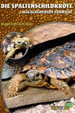 Die Spaltenschildkröte af Manfred Rogner
