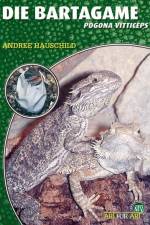 Die Bartagame af Andree Hauschild