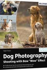 Dog Photography - Shooting with Bow 