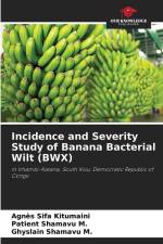 Incidence and Severity Study of Banana Bacterial Wilt (BWX) af Agnès Sifa Kitumaini
