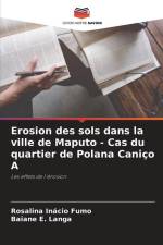 Erosion des sols dans la ville de Maputo - Cas du quartier de Polana Caniço A af Rosalina Inácio Fumo