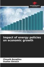 Impact of energy policies on economic growth af Chouaib Benqlilou