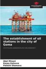 The establishment of oil stations in the city of Goma af Abel Minani