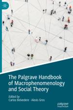 The Palgrave Handbook of Macrophenomenology and Social Theory af Alexis Gros