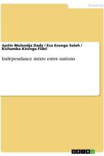 Indépendance mixte entre nations af Justin Mulendja Dady