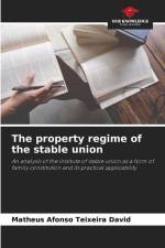 The property regime of the stable union af Matheus Afonso Teixeira David