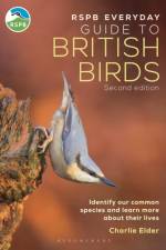 RSPB Everyday Guide to British Birds af Charlie Elder