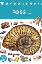 Fossil af Dr Paul David Taylor