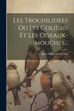 Les Trochilidées Ou Les Colibris Et Les Oiseaux-mouches... af Rene Primevere Lesson