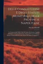 Delle Consuetudini E Degli Statuti Municipali Delle Provincie Napolitane: Le Consuetudini Delle Città Di Capua Ed Aversa, Capitoli Dell'assisa O Statu af Niccola Alianelli