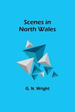 Scenes in North Wales af G. N. Wright