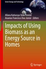 Impacts of Using Biomass as an Energy Source in Homes af Ananias Francisco Dias Júnior