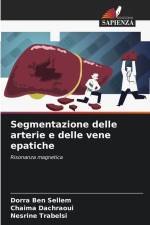Segmentazione delle arterie e delle vene epatiche af Dorra Ben Sellem