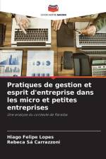 Pratiques de gestion et esprit d'entreprise dans les micro et petites entreprises af Hiago Felipe Lopes