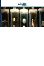 BIOLOGY OF THE SILKWORM af Yorqinoy Mirzayeva