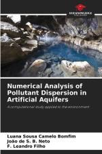 Numerical Analysis of Pollutant Dispersion in Artificial Aquifers af Luana Sousa Camelo Bomfim