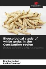 Bioecological study of white grubs in the Constantine region af Brahim Madaci