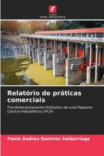 Relatório de práticas comerciais af Paola Andrea Ramírez Saldarriaga