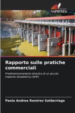 Rapporto sulle pratiche commerciali af Paola Andrea Ramírez Saldarriaga