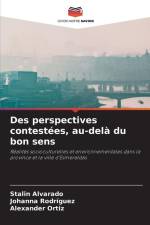 Des perspectives contestées, au-delà du bon sens af Stalin Alvarado