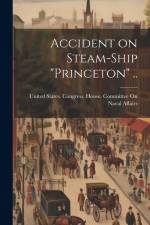 Accident on Steam-ship 