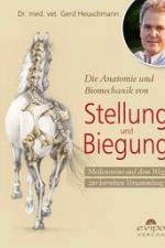 Die Anatomie und Biomechanik von Stellung und Biegung af Gerd Heuschmann