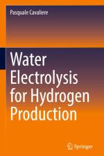 Water Electrolysis for Hydrogen Production af Pasquale Cavaliere