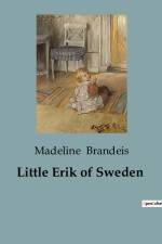 Little Erik of Sweden af Madeline Brandeis