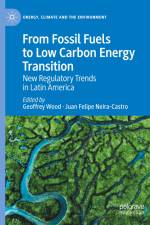 From Fossil Fuels to Low Carbon Energy Transition af Juan Felipe Neira-Castro