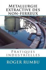 Metallurgie extractive des non-ferreux - Pratiques industrielles af Roger Rumbu