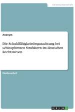Die Schuldfähigkeitsbegutachtung bei schizophrenen Straftätern im deutschen Rechtswesen af Anonym