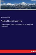 Practical Game Preserving af William Carnegie