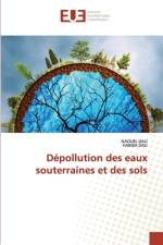 Dépollution des eaux souterraines et des sols af Naouel Dali