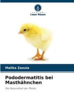 Pododermatitis bei Masthähnchen af Malika Zaouia