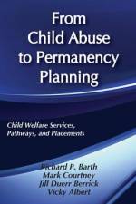 From Child Abuse to Permanency Planning af Vicky Albert