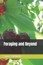 Foraging and Beyond af Lynne D M Noble