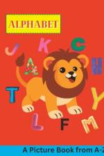 A to Z Picture Alphabet Book af Vetro Library