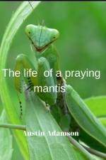 Тhe life of a praying mantis af Austin Adamson