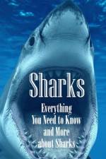Sharks af Brandi Humphrey
