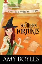 Southern Fortunes af Amy Boyles