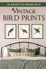 30 Ready-to-Frame 8x10 Vintage Bird Prints af Tuxedo Graphics