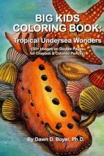 Big Kids Coloring Book af Dawn D Boyer