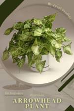 Arrowhead Plant af Andrey Lalko