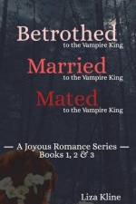 A Joyous Romance af Liza Kline