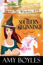 Southern Beginnings af Amy Boyles