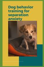 Dog behavior training for separation anxiety af Paul Fink