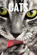 Cats af Just Pictures!