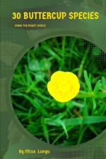 30 Buttercup species af Mixa Lungu